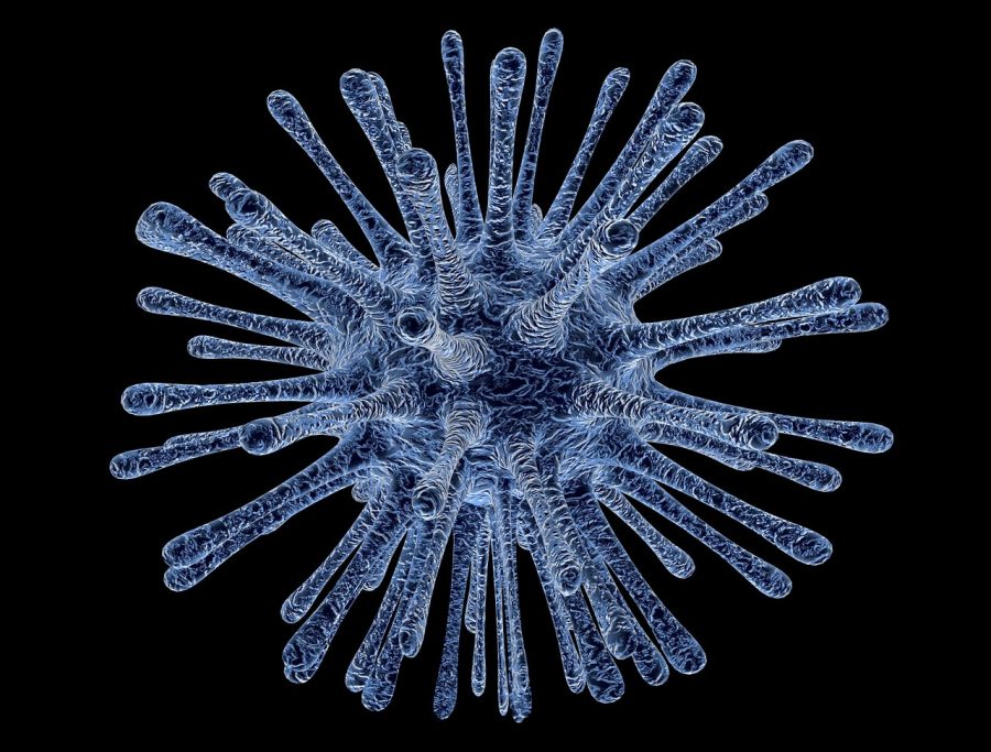 Coronavirus causes lockdown of Wuhan and surrounding countries
