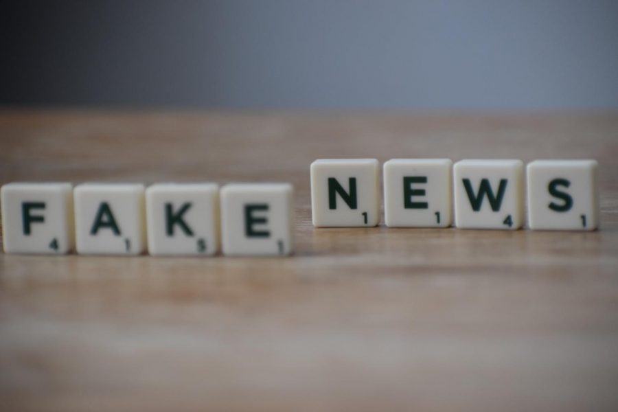 Fake News Wins The Web, Can We Stop It?