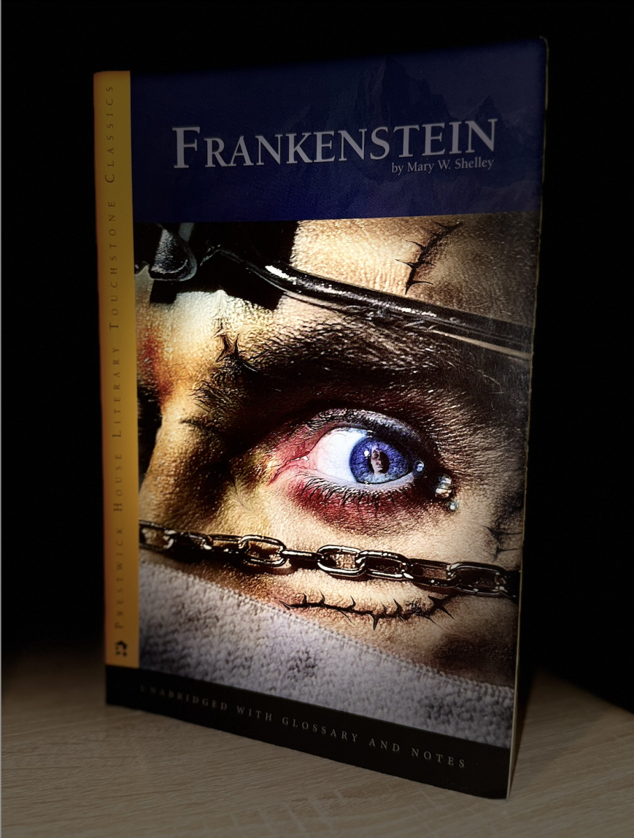 "Frankenstein" movie adaptation by Guillermo del Toro: does it exceed expectations?